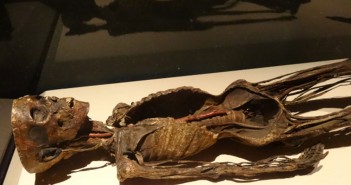 Mummies of the World at Bowers Museum