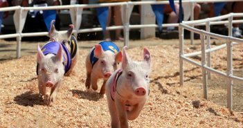 Orange County Weekend Events Roundup 7.14.16