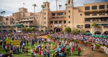 25+ Top San Diego Things to Do in July Catch thoroughbred racing at the Del Mar racetrack.