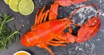 Orange County Weekend Events Roundup August 3-6 Lobsterfest-Newport-Beach