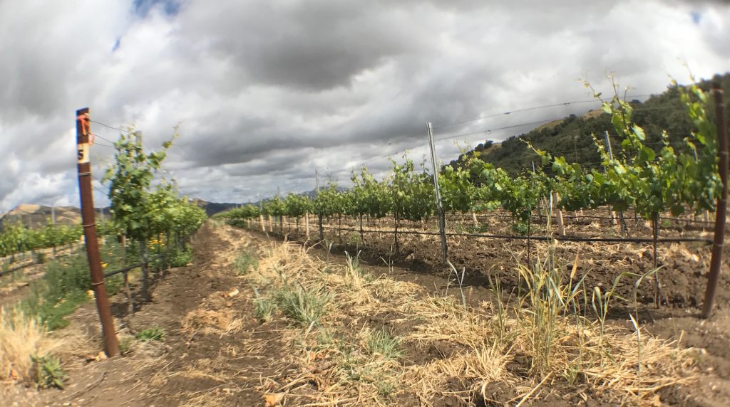 Santa Ynez Valley