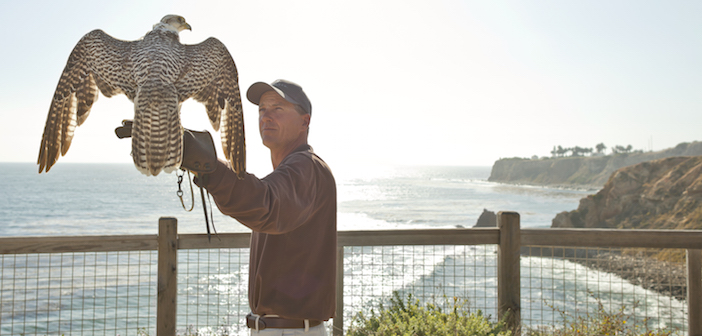 6 Animal Attractions in Los Angeles for Nature Lovers and Adventure Seekers