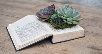 Top Orange County Things to Do in January Classic Succulent Book Planter Workshop