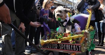 LA Weekend Events Roundup February 8-11