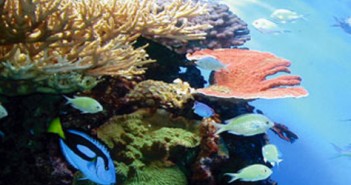 San Diego Weekend Events Roundup 1.06.11