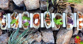 Restaurants | Insane Cuisine at Taco Asylum taco-asylum-header