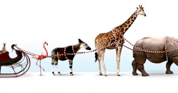 Things to Do This Weekend | San Diego Weekend Events jungle-bells-featured