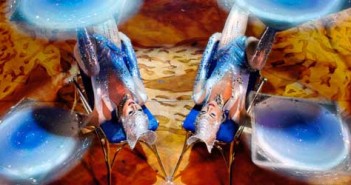 Events | The Best Los Angeles Things To Do In October 2013 totem-cirque-du-soleil