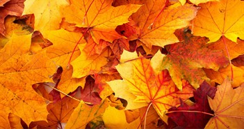Events | San Diego Weekend Events Roundup 11.25.15