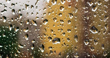 5 Things To Do in San Diego on a Rainy Day