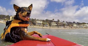 40+ July Events in San Diego
