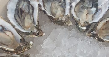 Celebrate National Oyster Day in San Diego