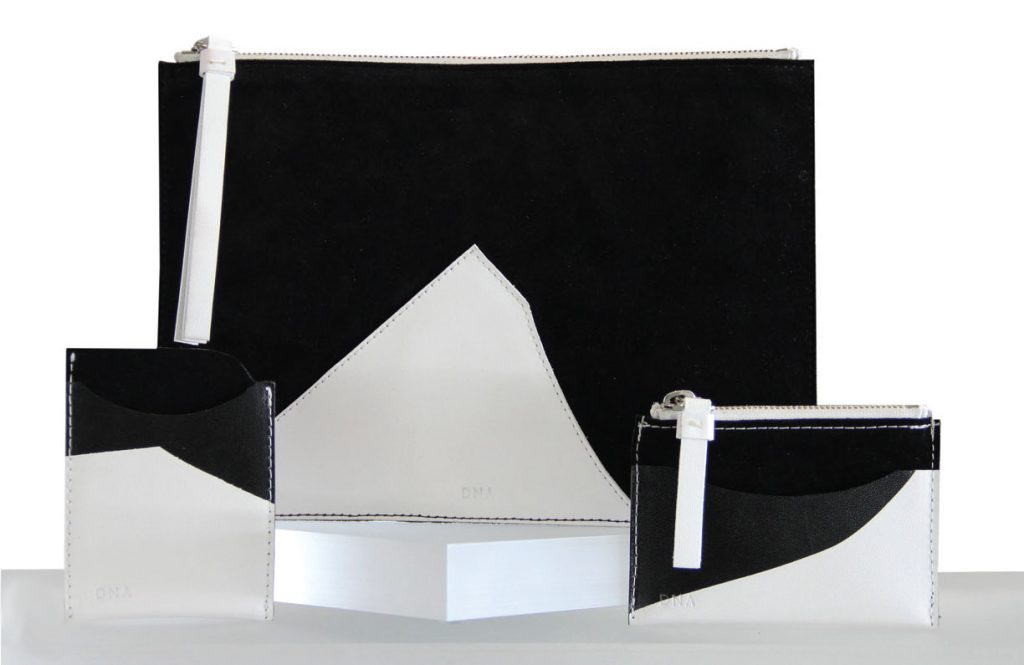 DNA’s Ellsworth Kelly-inspired leather goods