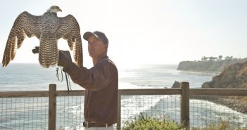 6 Animal Attractions in Los Angeles for Nature Lovers and Adventure Seekers Terranea Resort