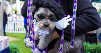 Top Halloween Events in San Diego