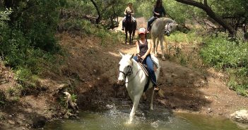 Wild Western Adventure: Exploring Calabasas and Agoura Hills