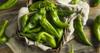 Spice Up Summer With Hatch Chiles