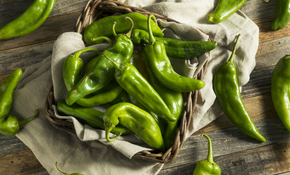 Spice Up Summer With Hatch Chiles SoCalPulse
