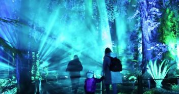 Los Angeles Weekend Events Roundup November 15-18