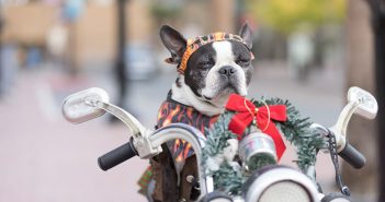 San Diego Weekend Events Roundup December 13-16
