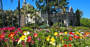 San Diego in Bloom