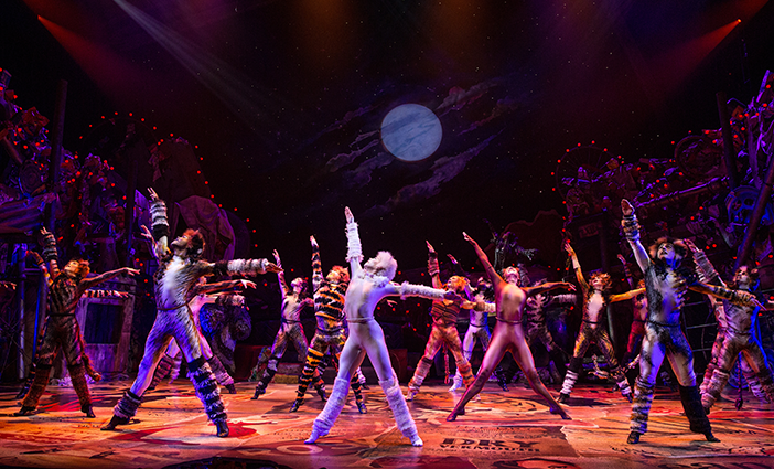 'CATS'-on-Broadway-photo-by-Matthew-Murphy