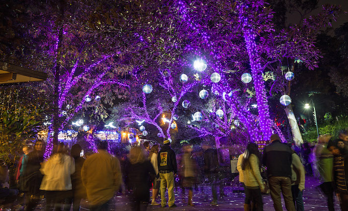 L.A. Zoo Lights photo by Jamie Pham