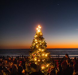 21st-Crystal-Cove-Tree-Lighting-photo-by-Paul-F.-Gero