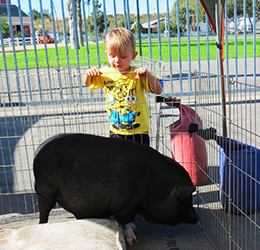 8th-Annual-Pet-Days-at-OC-Market