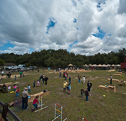 Adventure-Day-at-Caspers-Wilderness-Park-photo-provided-by-The-ACE-Agency