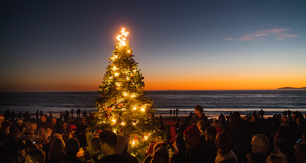 BANNER-21st-Crystal-Cove-Tree-Lighting-photo-by-Paul-F.-Gero