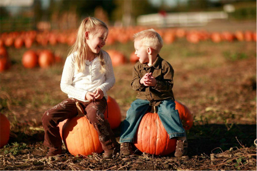 BANNER-Boots-on-the-Beach-Country-Pumpkin-Patch