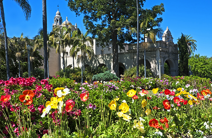 Balboa Park in full bloom