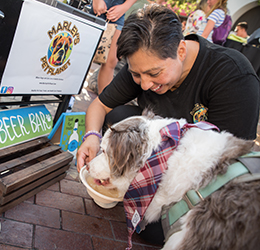 Barks-and-Brews-photo-by-Kait-McKay-Photography