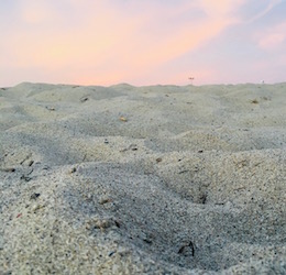 Beach Cleanup: Santa Monica photo by Christina Wiese