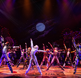 'CATS'-on-Broadway-photo-by-Matthew-Murphy