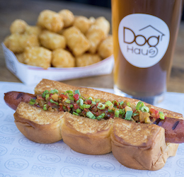 Dog Haus x No Kid Hungry 