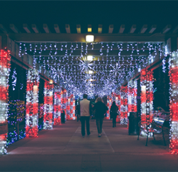 Dana-Point-Happy-Harbor-Days-photo-courtesy-The-ACE-Agency