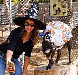 Halloween-Zoo-tacular-photo-courtesy-The-ACE-Agency