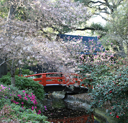Japanese Garden Festival photo courtesy of Descanso Gardens