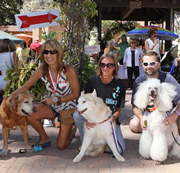 Laguna's-Pet-Parade-and-Chili-Cook-Off