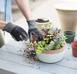 Molly-Wood’s-Succulent-Workshop-photo-courtesy-Kitchen-Table-Marketing-+-PR