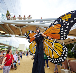 Nature Fest photo courtesy of the Natural History Museum of Los Angeles County