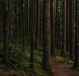 Night-Hike-photo-by-Jake-Campell