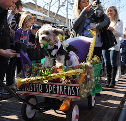 Mardi Gras at The Original Farmers Market