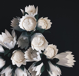 Paper-Flowers-proteas