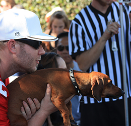 Plum Fest and Weiner Dog Races photo courtesy of Vantage Strategic Marketing