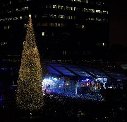 South-Coast-Plaza-Annual-Tree-Lighting-photo-courtesy-South-Coast-Plaza