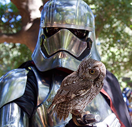 'Star-Wars'-Day-at-the-OC-Zoo