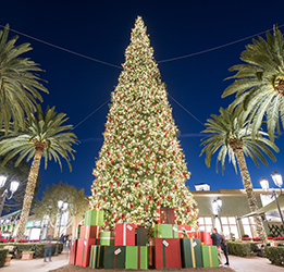 Tree-Lighting-Ceremony-photo-provided-by-Katherine-Odom